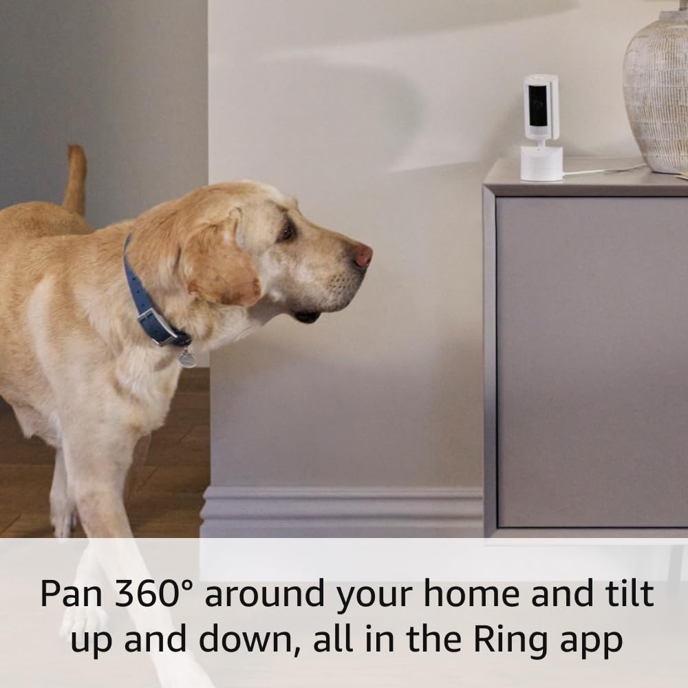 Ring Pan-Tilt Indoor Cam | See all around your home or business with 360° pan coverage - Image 6