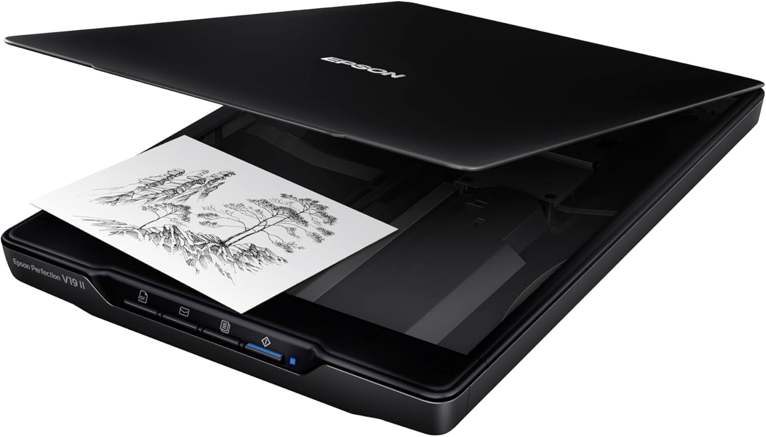 Epson Perfection V19 II Color Photo and Document Flatbed Scanner - Image 4