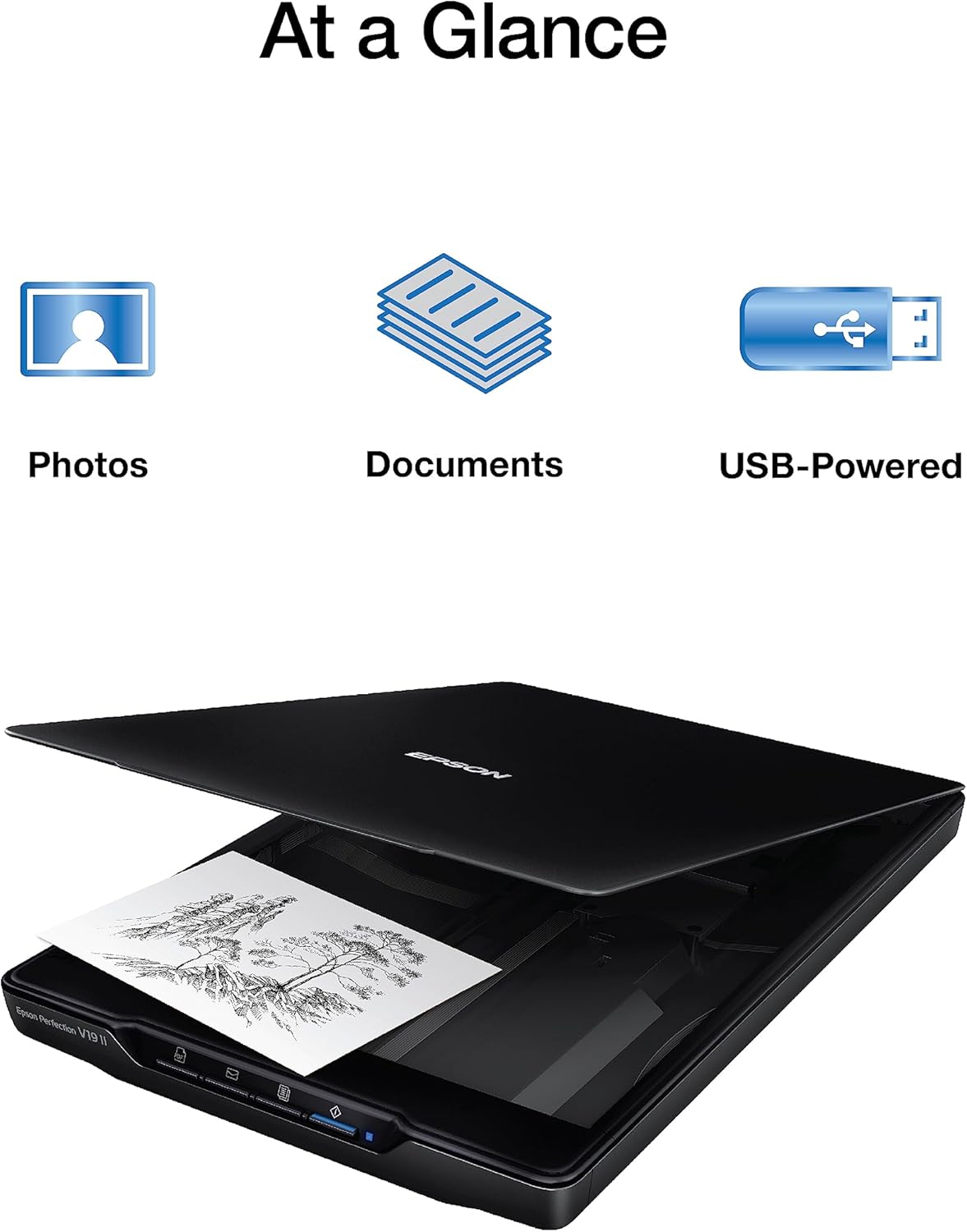 Epson Perfection V19 II Color Photo and Document Flatbed Scanner - Image 9