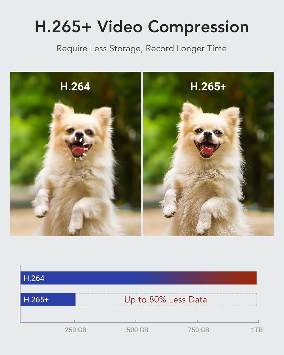 ANNKE 16CH 1080P Lite Hybrid 5-in-1(TVI/AHD/CVI/CVBS/IPC) CCTV DVR - Image 7