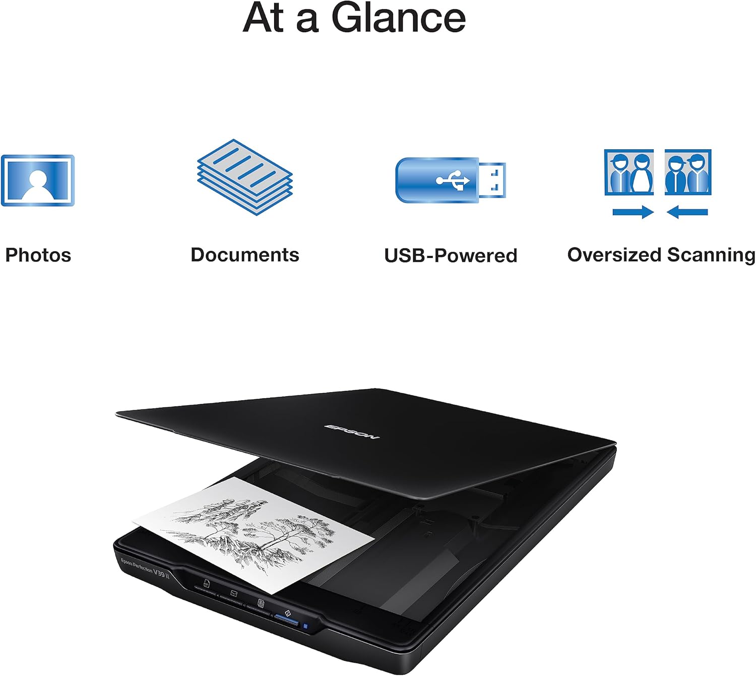Epson - Perfection V39 II - Color Photo and Document Flatbed Scanner - Image 4